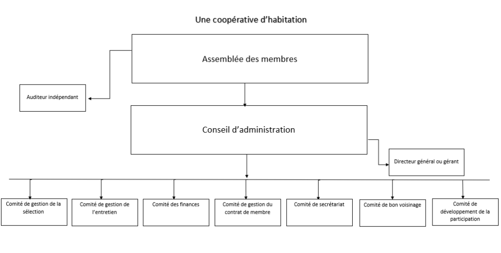 Organigramme coopérative habitation